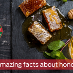 Amazing facts about honey