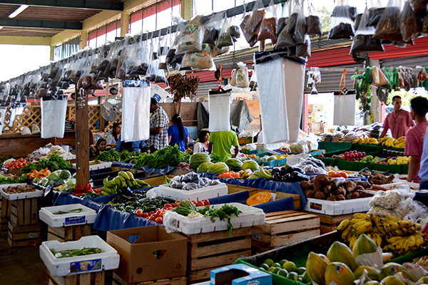 Redland Farmer's Market