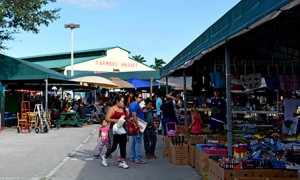 A Day at Redland Market Village