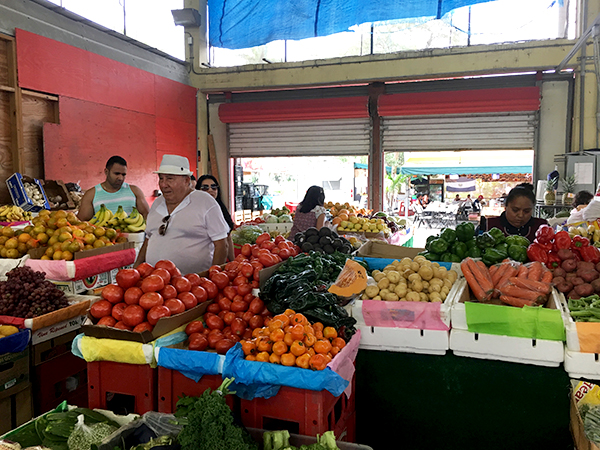 Redland Farmer's Market