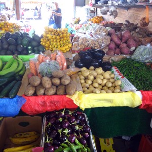 Redland-Market-Village-Farmers-Market-3