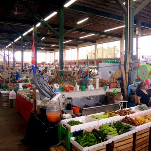 Redland-Market-Village-Farmers-Market