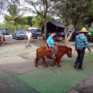 Redland-Market-Village-Pony-Rides