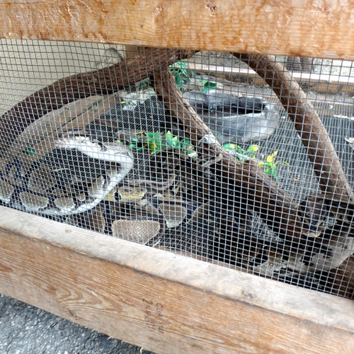 Photo Gallery Redland Village Market