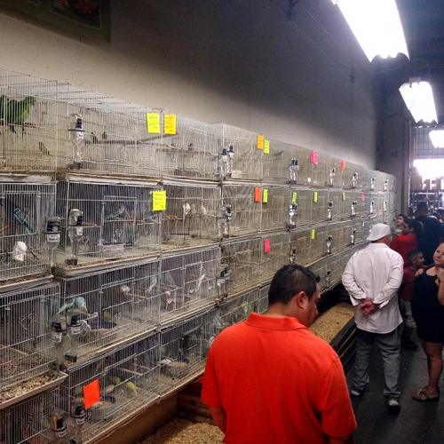 Photo Gallery Redland Village Market