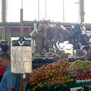 Redland-Market-Village-Farmers-Market-Panaramic