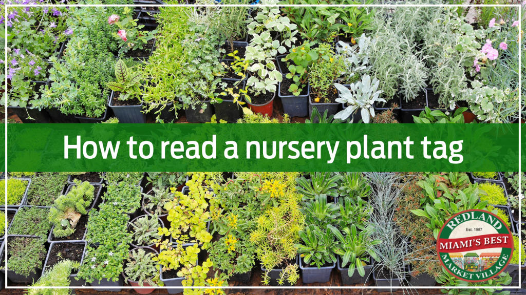 Redland Market Village- How To Read A Nursery Plant Tag